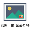 現(xiàn)代225-7 290挖掘機空氣濾芯E211-2103C